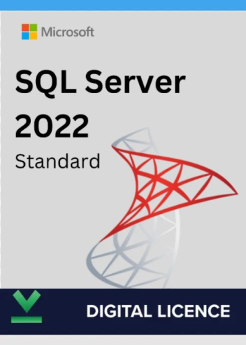Microsoft SQL Server Standard 2022 64-bit